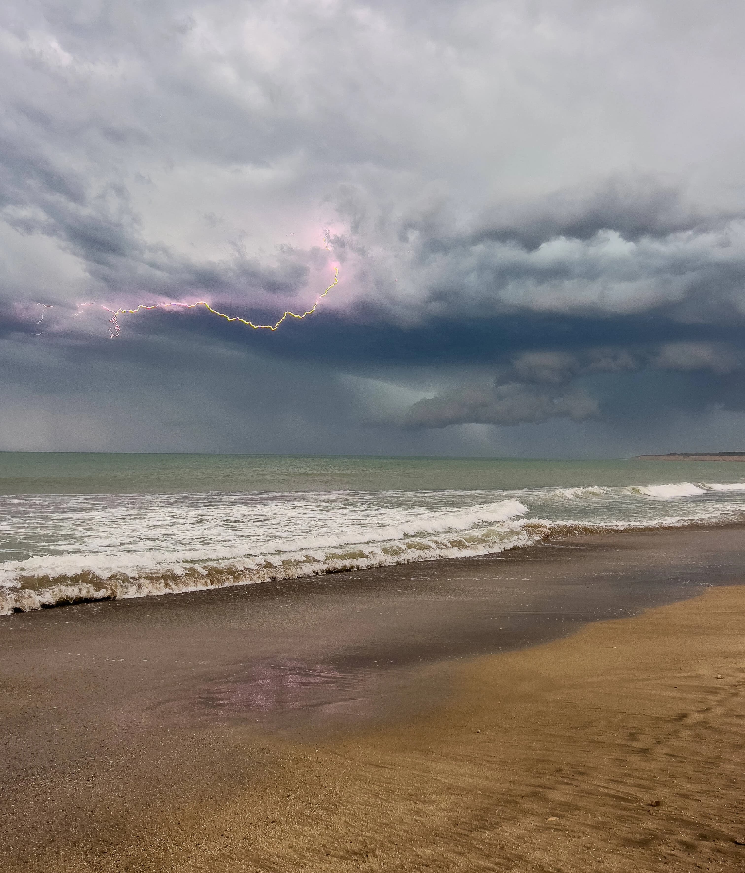 Professional seafood export